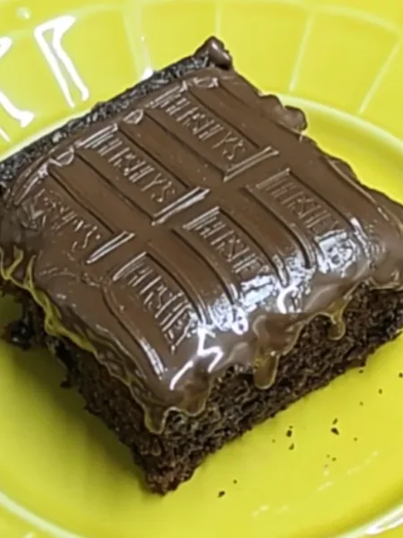 Bolo de Chocolate sem Glúten e sem Leite